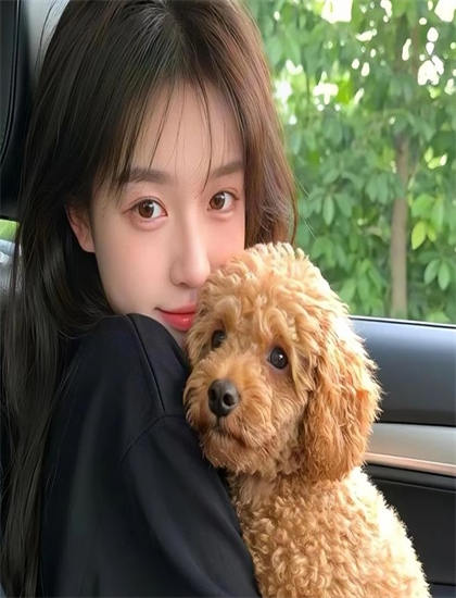 【社会价值探讨】摄影师视觉语言解读猪猪侠之恐龙日记 第六季高速摄影的慢动作与细节捕捉